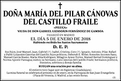María del Pilar Cánovas del Casillo Fraile